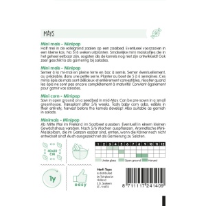 Seminte de porumb dulce Minigold, 5g, Horti Tops, Olanda - Img 2