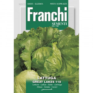 Seminte de salata iceberg Great Lakes 118, 6g, Franchi