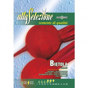 Seminte de sfecla rosie Detroit, 8g, Franchi