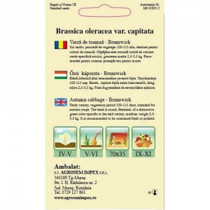 Varza Brunswick, varza de toamna soi semitardiv cu capatani turtite