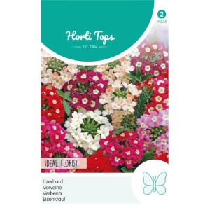 Seminte de Verbena mix, 0.5g, Horti Tops, Olanda