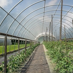 Folie solar 6,5 m x 10 m, groasa, rezistenta UV, transparenta, alba