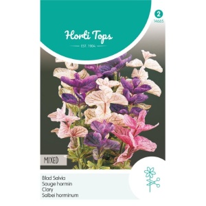 Salvia Horminum Tricolor Mixed 0.5g/plic, Horti Tops, Olanda