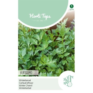 Seminte de asmatui, 10g, Horti Tops, Olanda
