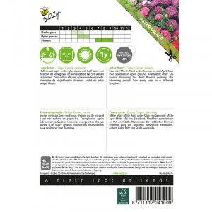 Seminte de Aster pitic Colour Carpet, 0,75g, Buzzy, Olanda