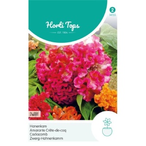 Seminte de Celosia/creasta cocosului Dwarf mix, 0.5g, Horti Tops, Olanda