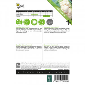 Seminte de conopida de toamna Giant, 2,1 g, Buzzy, Olanda