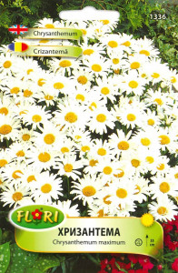 Seminte de Crizantema/ Chrysanthemum maximum, 350 seminte