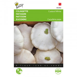 Seminte de dovlecel patisson Custard White, 2g, Buzzy, Olanda