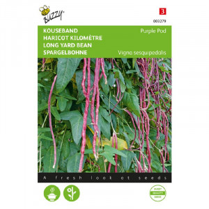 Seminte de fasole japoneza pastaie violet Long Yard, 6g, Buzzy, Olanda