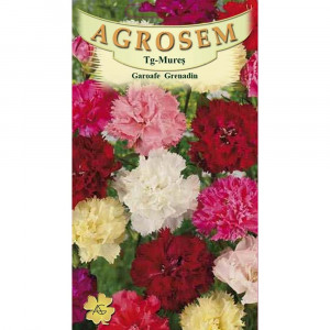 Seminte de garoafe Grenadine, mix, Agrosem, 0,2 g