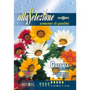 Seminte de Gazania multicolor, 0.2g, Franchi