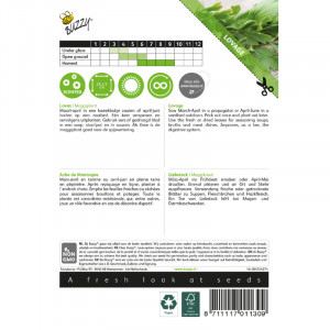 Seminte de leustean, 1,5 g, Buzzy, Olanda