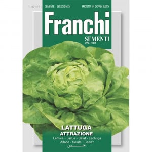 Seminte de salata capatana Attrazione, 8g, Franchi