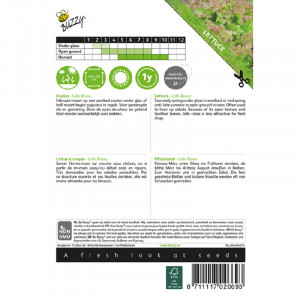Seminte de salata creata Lollo Rossa, 2 g, Buzzy, Olanda