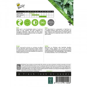 Seminte de salvie, 1 g, Buzzy, Olanda