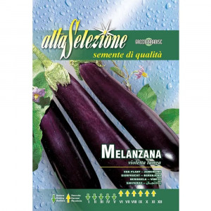 Seminte de vinete Violetta Lunga, 3g, Franchi
