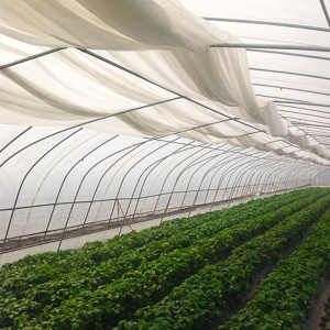 Folie termica solar si sera, 4.2m x 300m
