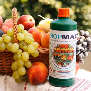 Ingrasamant foliar Bio, 100% natural, CROPMAX 100 ml