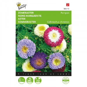 Seminte de Aster Pompon mix, 0,5g, Buzzy, Olanda