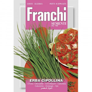 Seminte de ceapa de tuns, 2g, Franchi