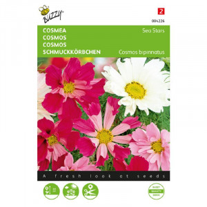 Seminte de Cosmos Sea Stars mix, 0,5g, Buzzy, Olanda