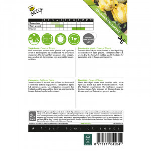 Seminte de dovlecei decorativi Crown of Thorns, 2g, Buzzy, Olanda