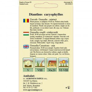 Seminte de garoafe Grenadine, mix, Agrosem, 0,2 g