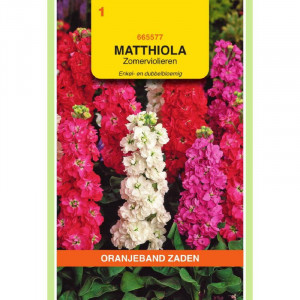 Seminte de Matthiola dublu mix, 0,5g, Oranjeband, Olanda
