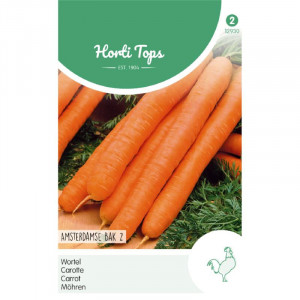 Seminte de morcov Amsterdam Forcing 2, 5g, Horti Tops, Olanda