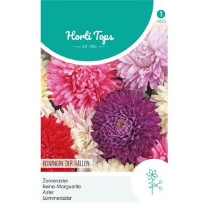 Seminte de ochiul boului Reine Marguerite mix, 1g, Horti Tops, Olanda