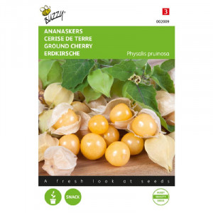 Seminte de Physalis - cireasa de pamant, 0,1 g, Buzzy, Olanda