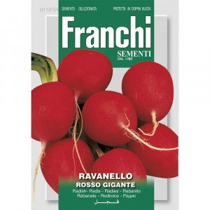 Seminte de ridiche de luna Rosso Gigante, 15g, Franchi