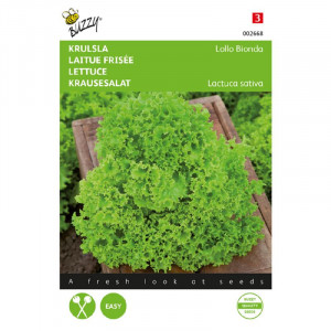 Seminte de salata creata Lollo Bionda, 0,85 g, Buzzy, Olanda