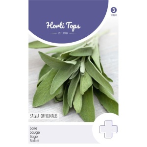 Seminte de Salvia officinalis, 1g, Horti Tops, Olanda