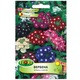 Seminte de verbena mix/ verbena nana mix, 120 seminte