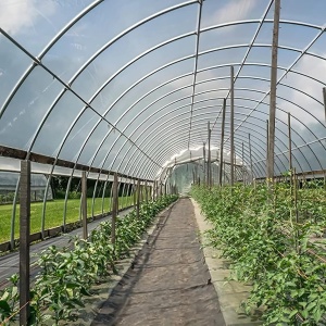 Folie solar 6,5 m x 10 m, groasa, rezistenta UV, transparenta, alba