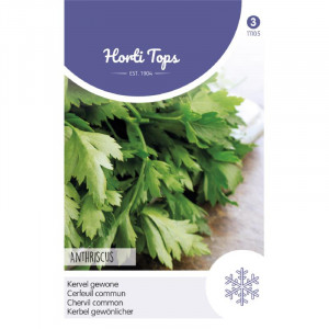 Seminte de Anthriscus cerefolium, 5g , Horti Tops, Olanda