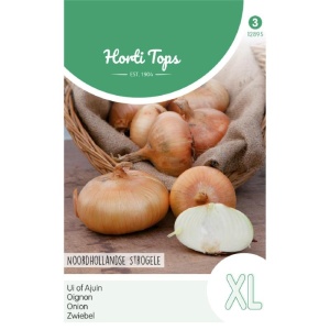 Seminte de ceapa galbena Flat Dutch XL, 4g, Horti Tops, Olanda