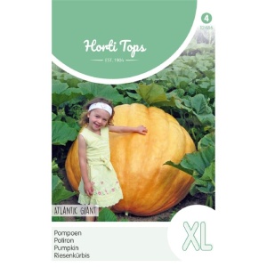 Seminte de dovleac Atlantic Giant, 2.5g, Horti Tops, Olanda