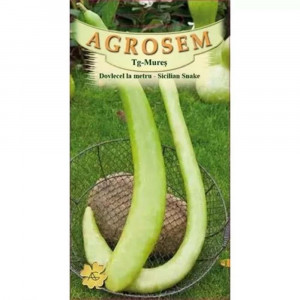 Dovlecei la metru Sicilian Snake, seminte soi dovlecei lungi, cilindrici, gustosi, Agrosem, 2 gr.
