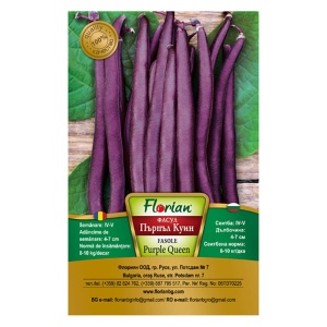 Seminte de fasole pitica mov Purple Queen, soi productiv, Florian, 50g