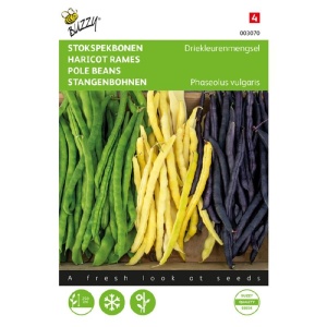 Seminte de fasole tricolor, 25g, Buzzy, Olanda