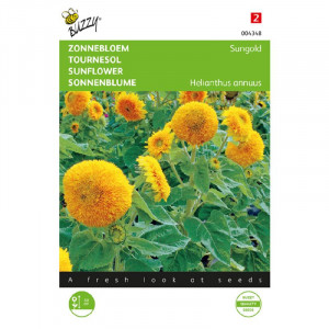 Seminte de floarea soarelui pitica Sungold, 2g, Buzzy, Olanda