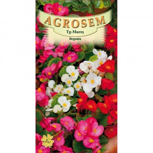 Seminte de flori Begonia Mix