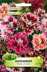 Seminte de Garoafa / Dianthus chinensis Imperialis mix, 550 seminte