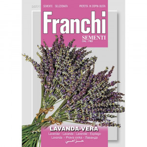 Seminte de lavanda, 1g, Franchi