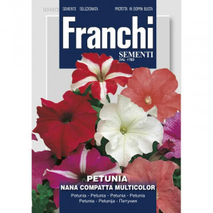 Seminte de Petunia pitica compacta multicolor, 0.5g, Franchi