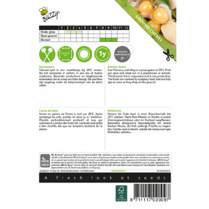 Physalis - cireasa de pamant, 0,1 g