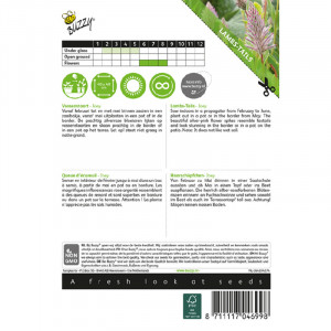 Seminte de Ptilotus, 0,5g, Buzzy, Olanda